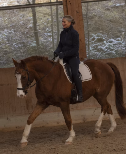 Intuitives Reiten und Reitkunst