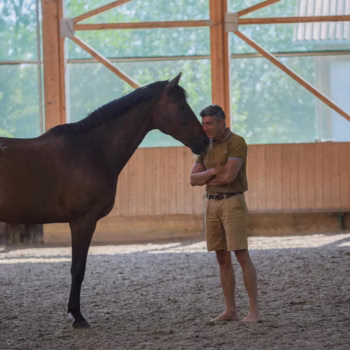 Pferdegestütztes Coaching mit Markus