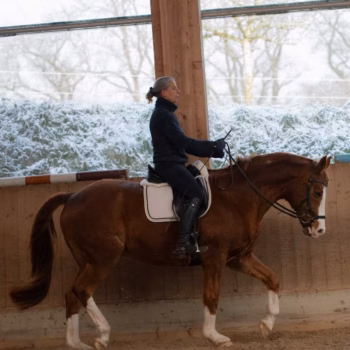 Intuitives Reiten lernen auf dem Schönberghof